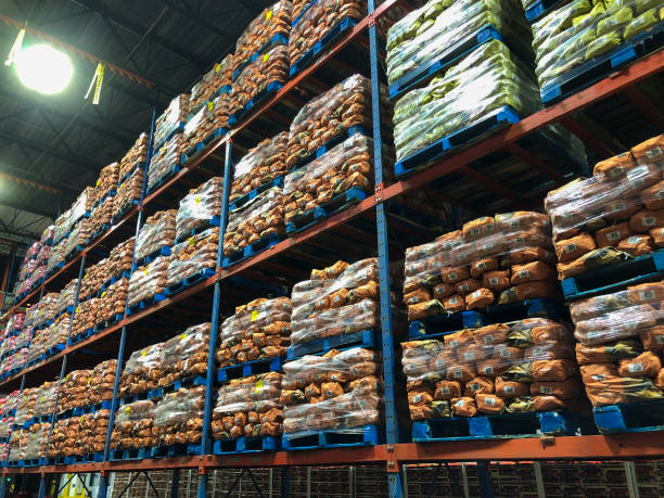 Pallets of 10 pound potato sacks stacked in distribution center.